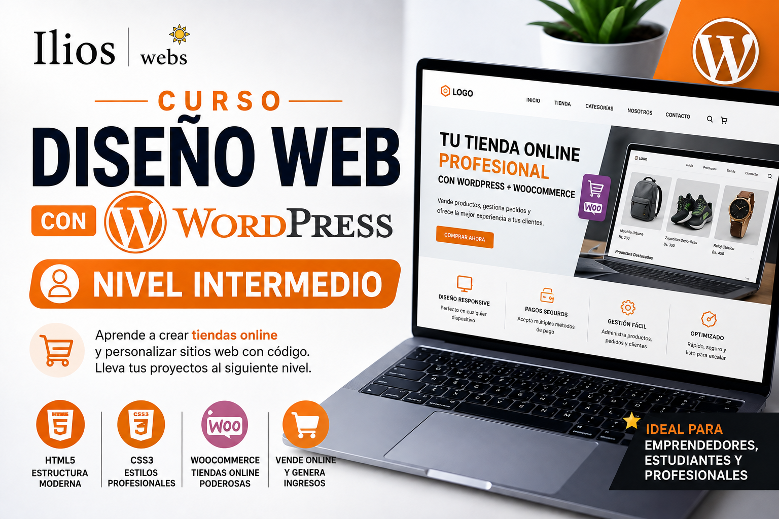 Curso Nivel 2: Diseño Web con WordPress (Intermedio)